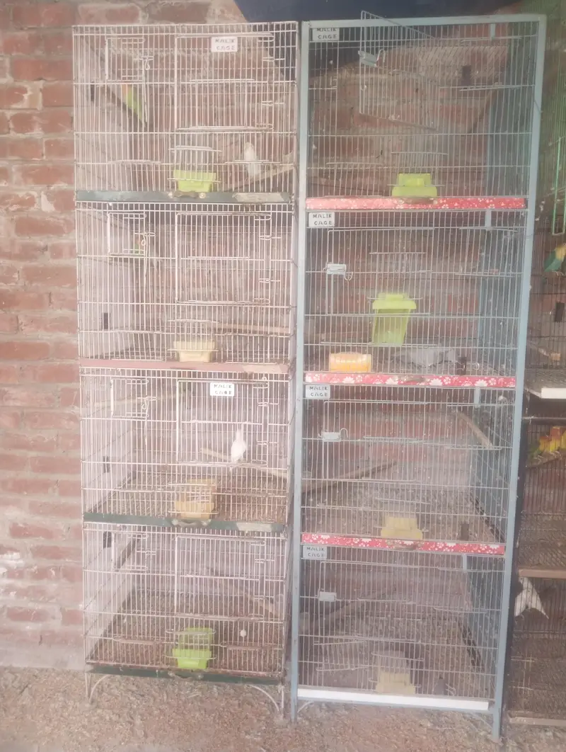 cages 4 sale — photo 3