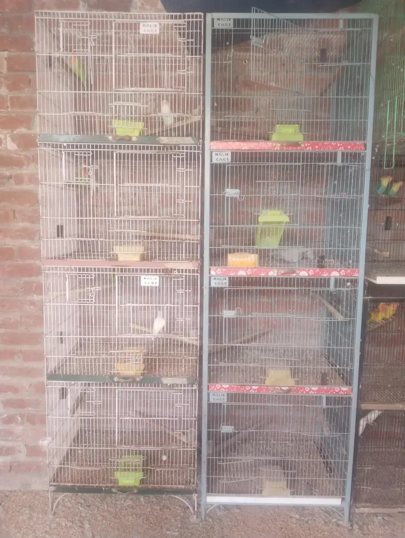 cages 4 sale — photo 4