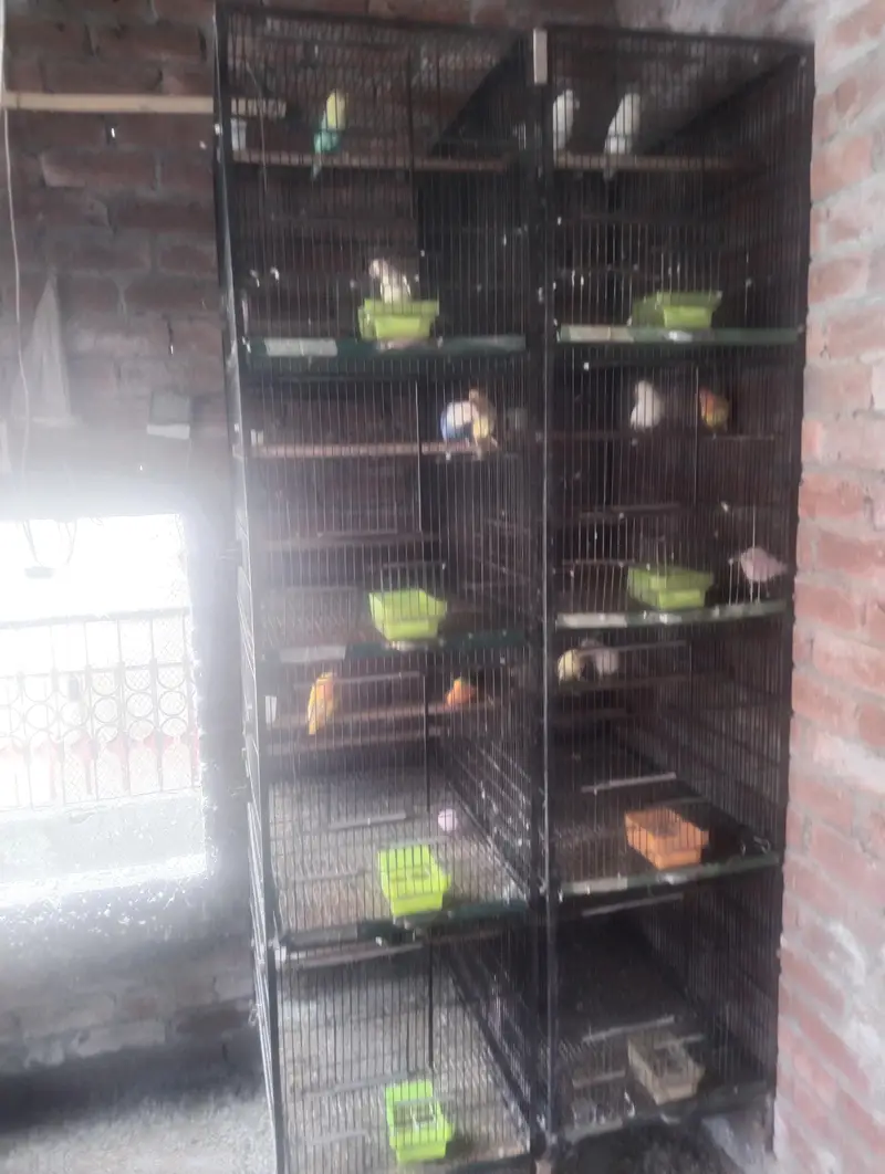 cages 4 sale — photo 5