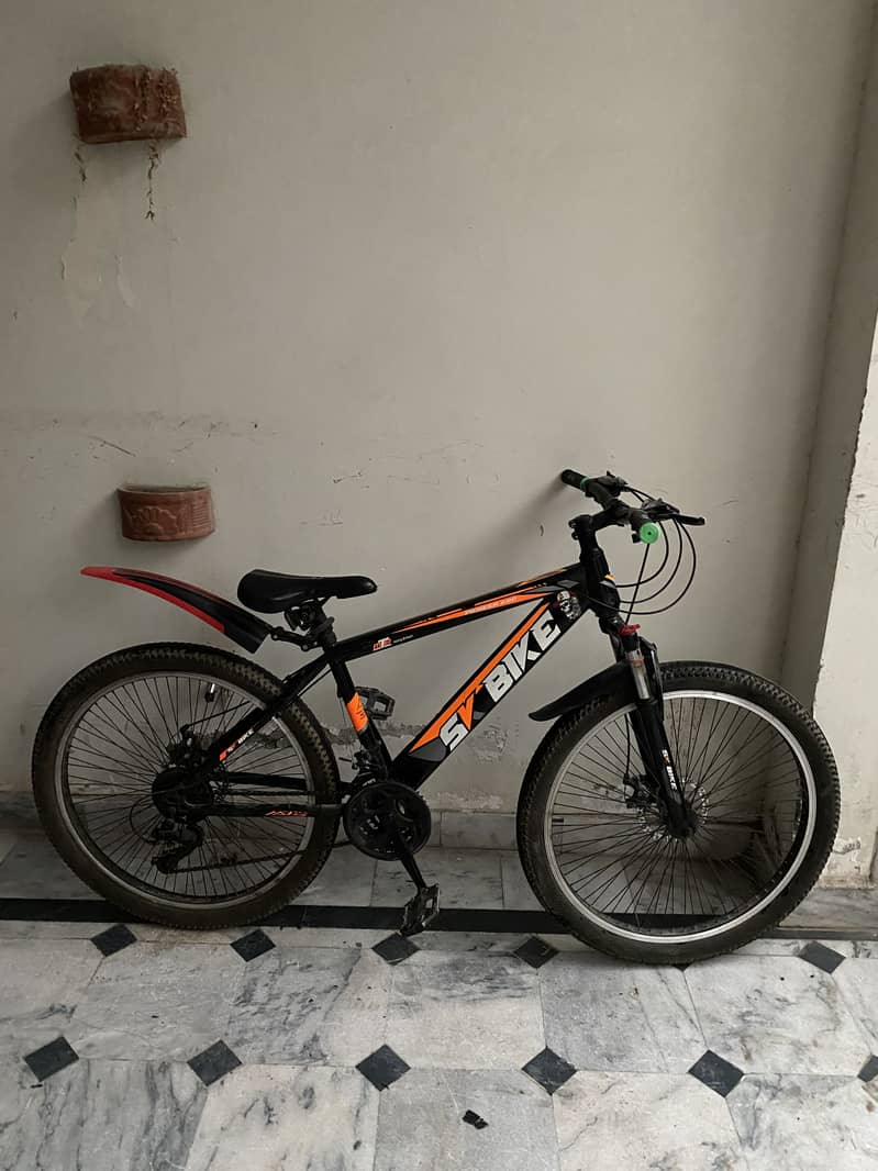 Cycle 1