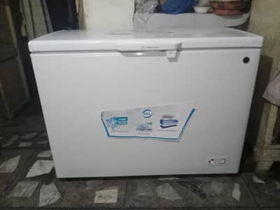 PEL Deep Freezer – Like New Condition (Only 1 Month Used)