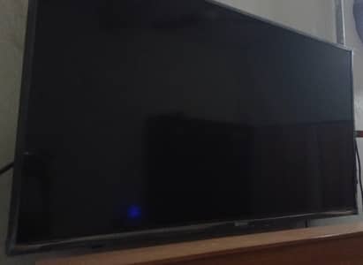Orient Led