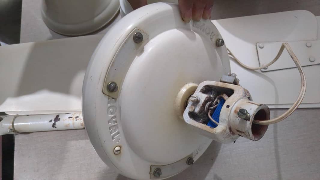Seiling Fans 3