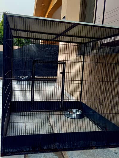 Beautiful dogs and other animals cage