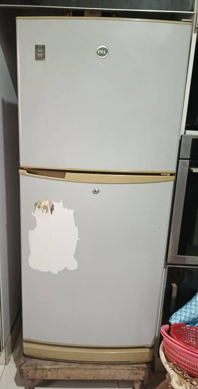 Pel Fridge ( Medium Size)