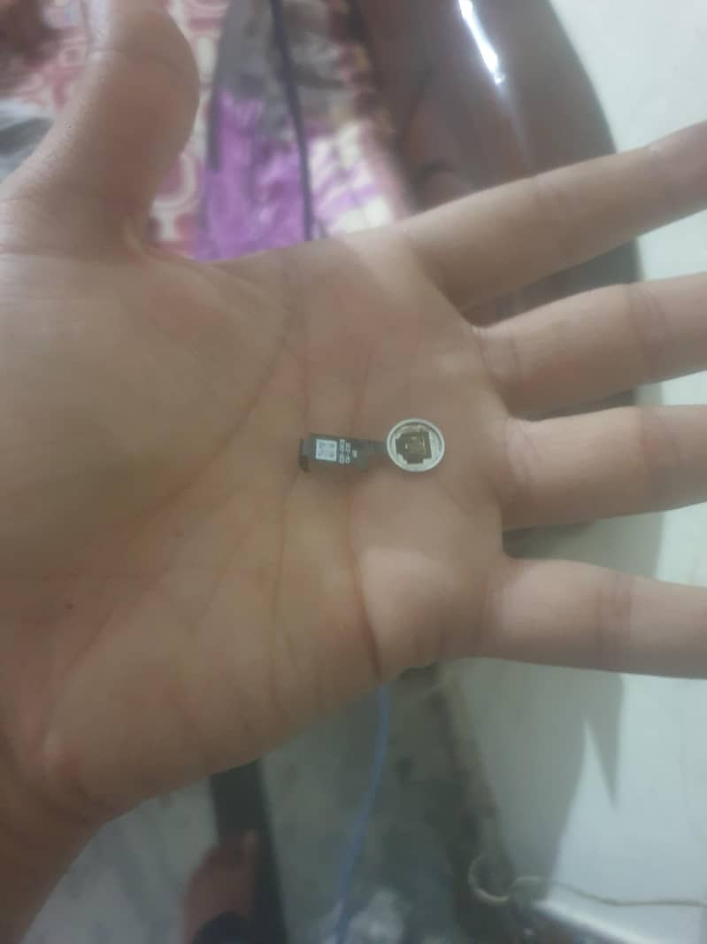 iphone home button 0
