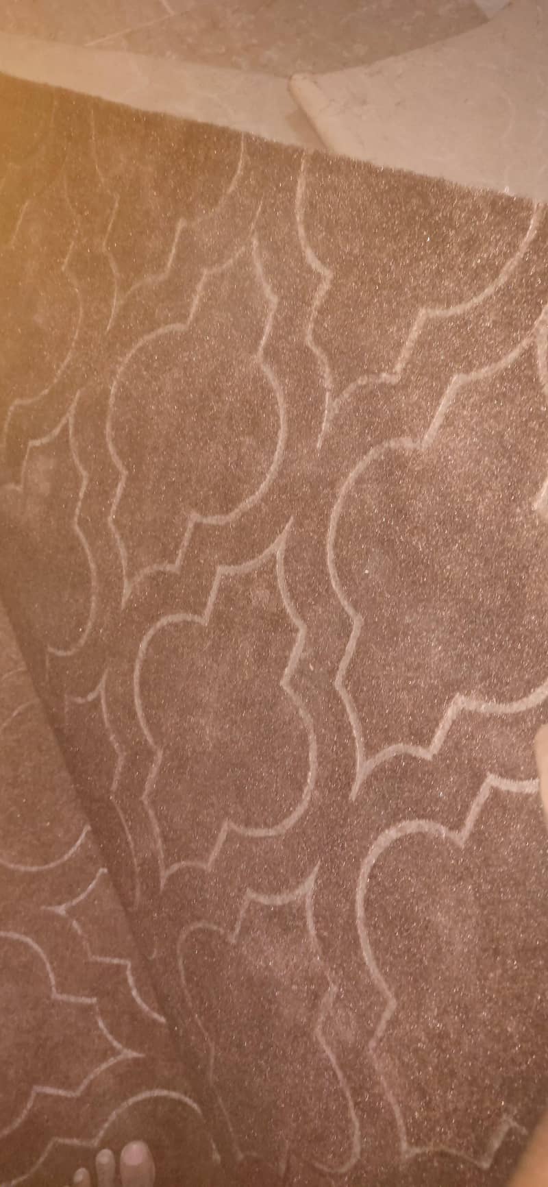 2 carpets 1