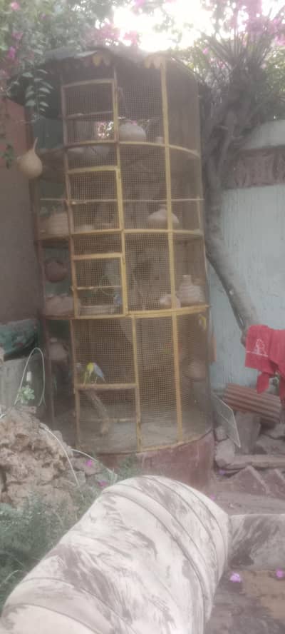 Parets Big Cage of 4 portions for urgent sale