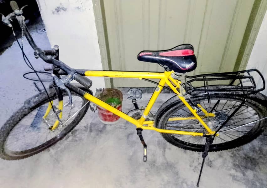 Phoenix Cycle 0