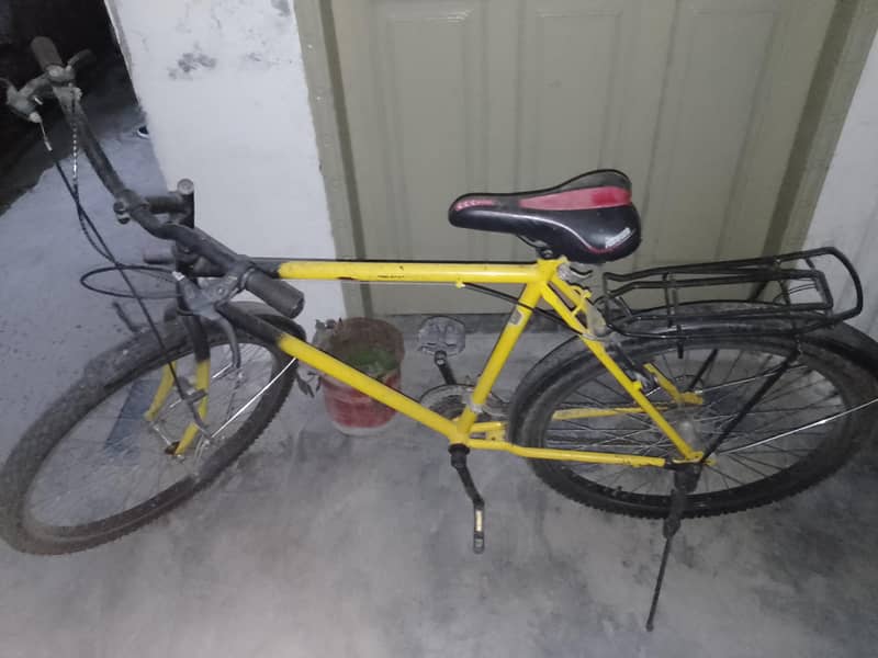 Phoenix Cycle 2