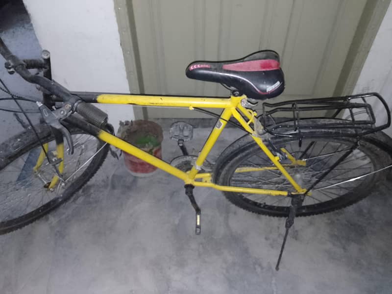 Phoenix Cycle 3