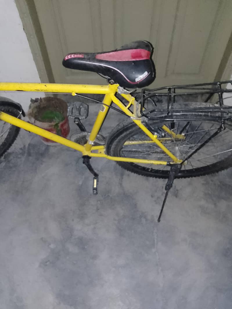 Phoenix Cycle 4