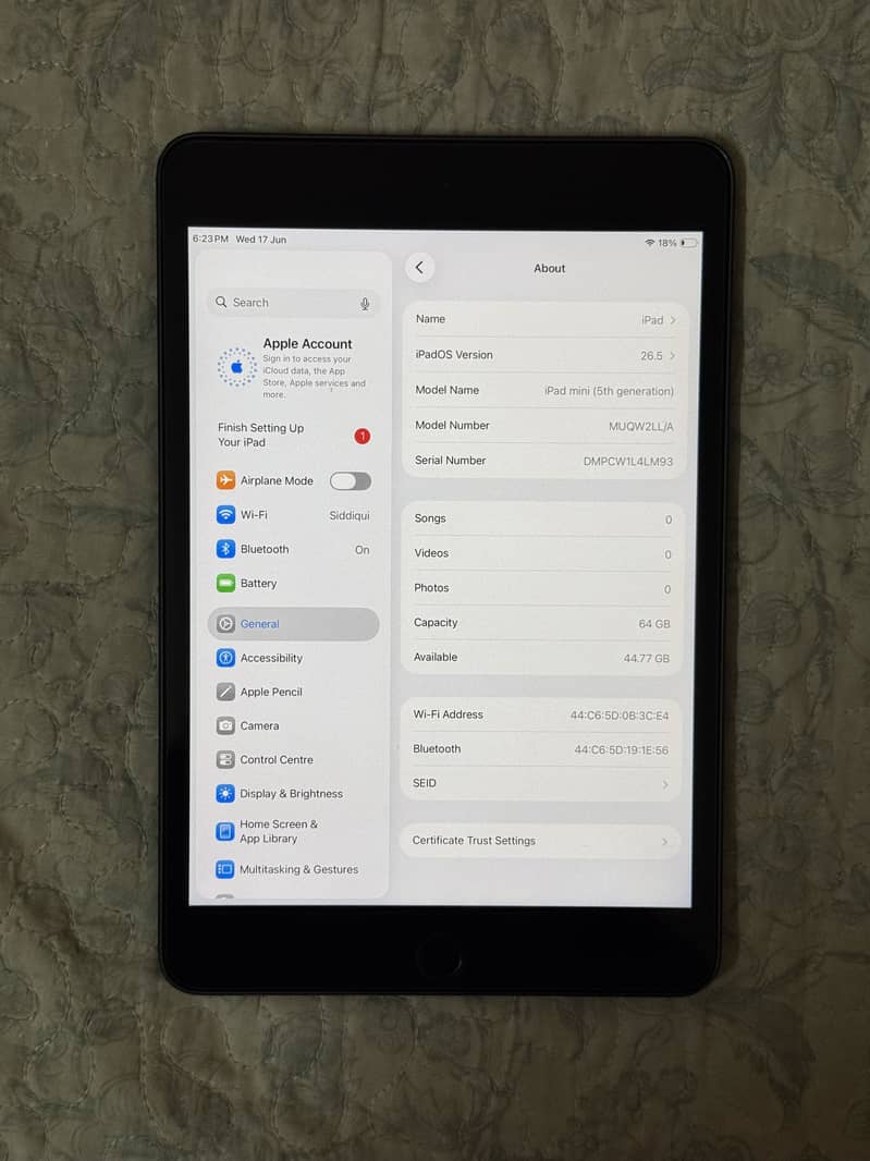 Ipad mini 5 1