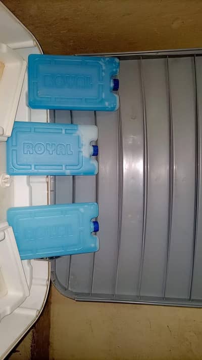 Room cooler