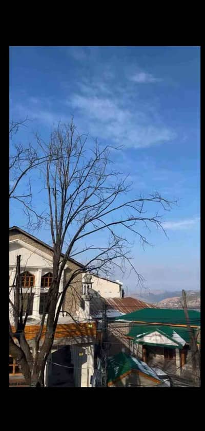 MAلIK