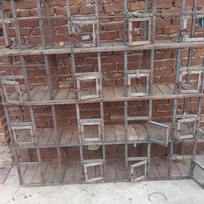 cage for sale