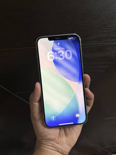 Apple iPhone 12 Pro Max Dual Sim PTA