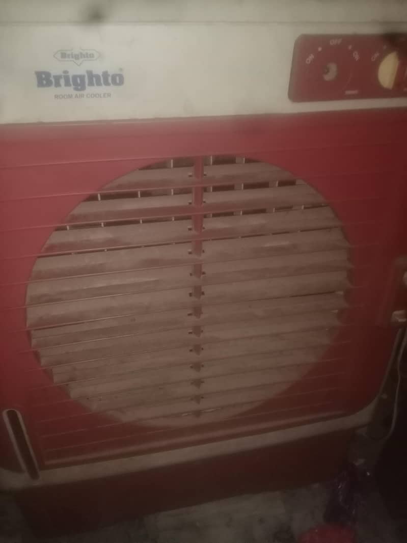 Brighto 1