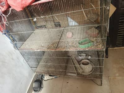 cage 4 sale 4 portion