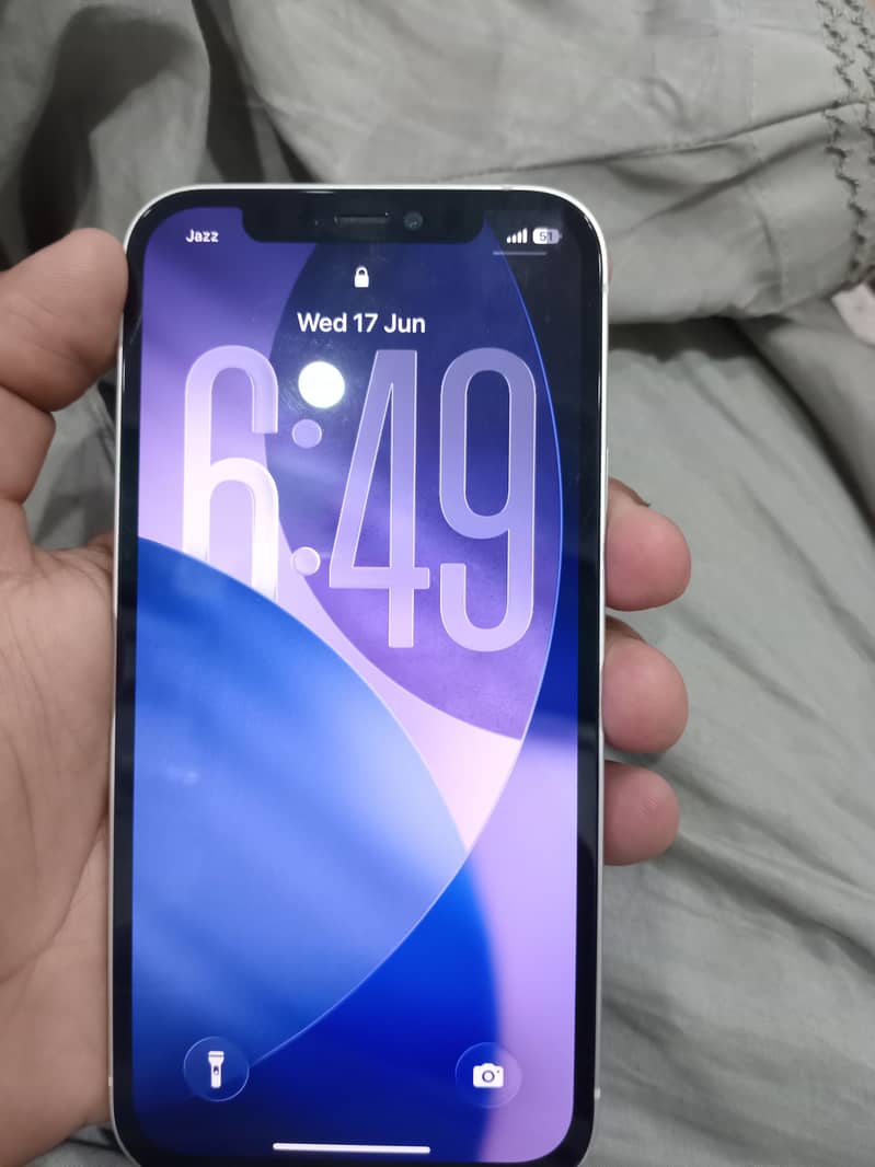 Apple iPhone 12 1