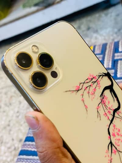 Apple iPhone 12 Pro Max