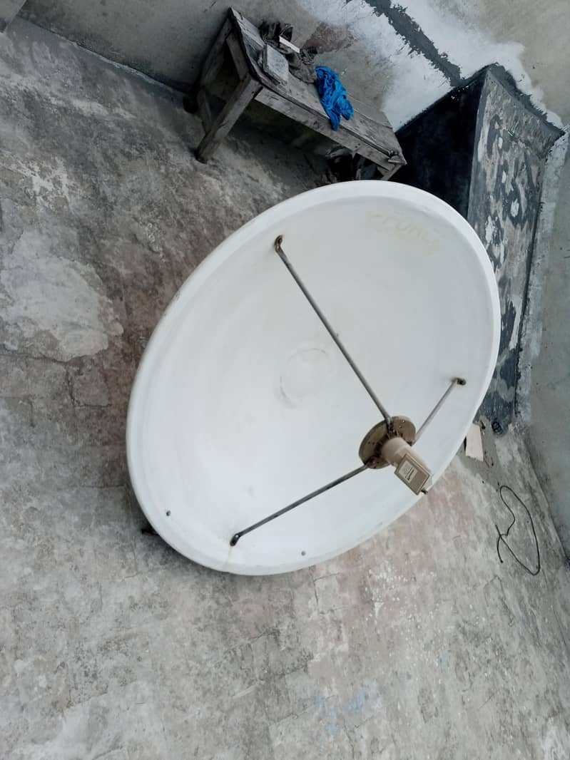Dish (new) 1