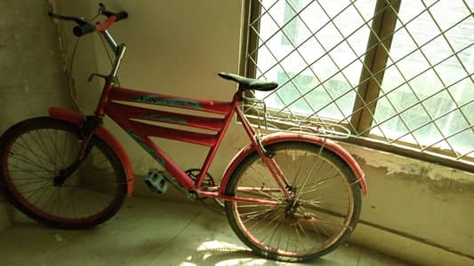 Cycle