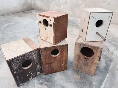 breeding box for sale 0371/6368/385