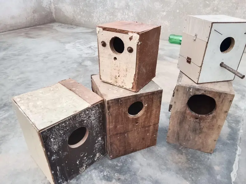 breeding box for sale 0371/6368/385 — photo 2