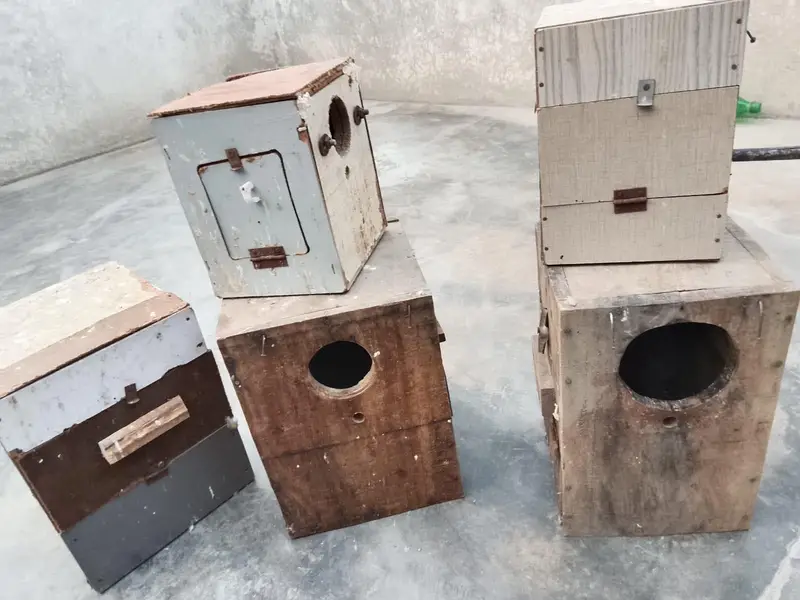 breeding box for sale 0371/6368/385 — photo 4