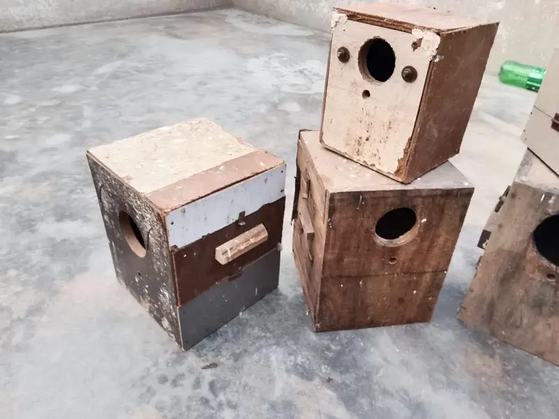 breeding box for sale 0371/6368/385 — photo 5