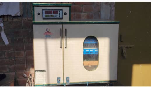 Automatic Egg Incubator & Chick Brooder for Sale