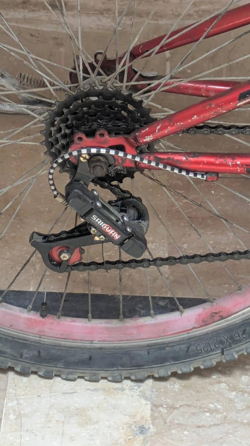 morgan cycle 1