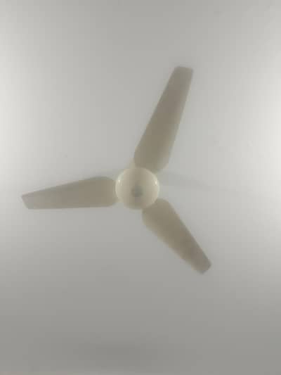 fan for sale