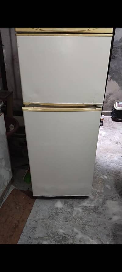 Nord Fridge large size