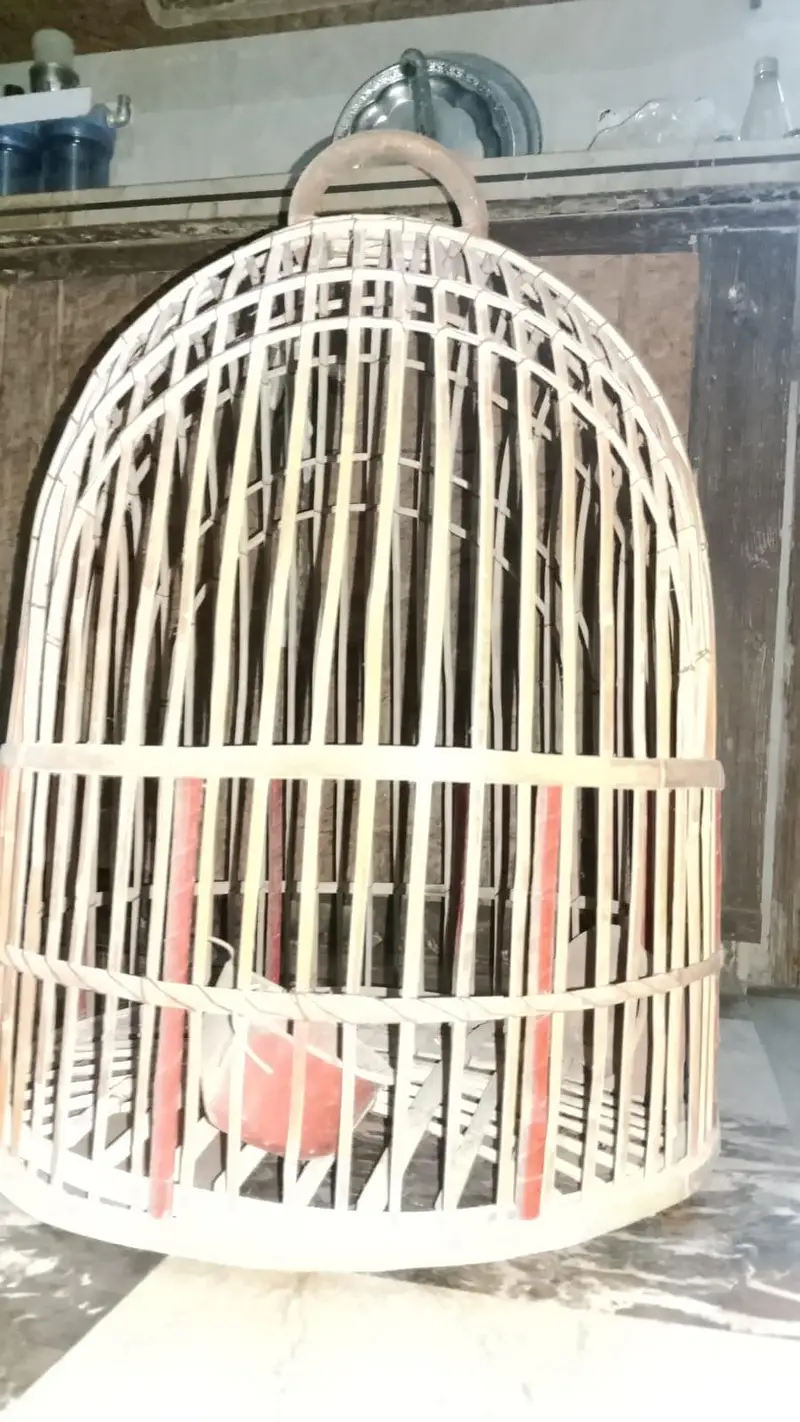 wooden cage