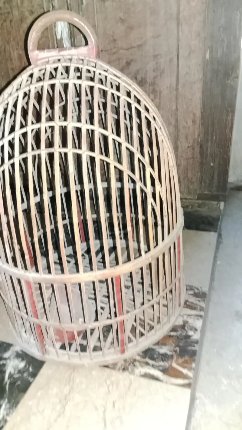 wooden cage — photo 2
