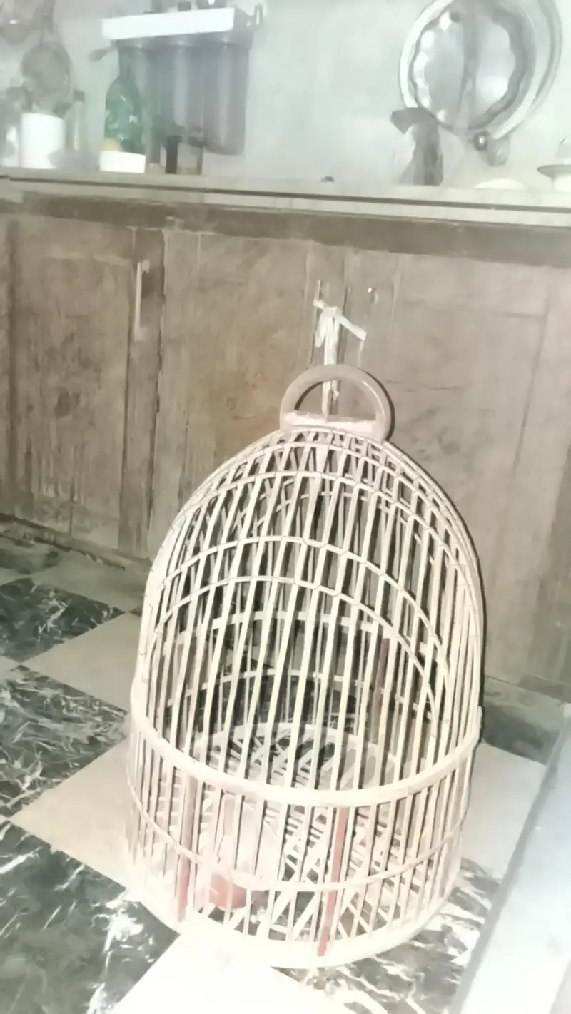 wooden cage — photo 4