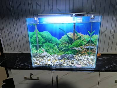 Aquarium 2.5’*1 with hangon filter with impoted top mount light.