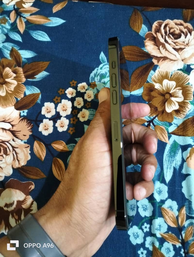 iPhone 14 Pro max 1