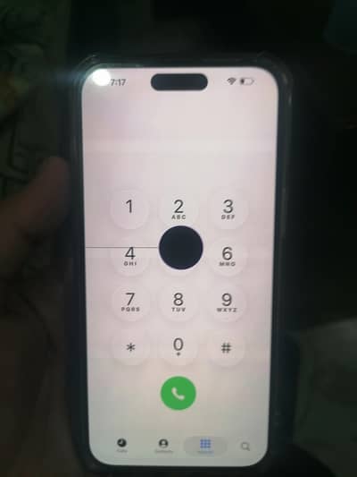 Apple iPhone 14 Pro Max Panel