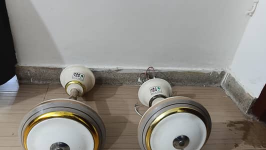 fans for sale