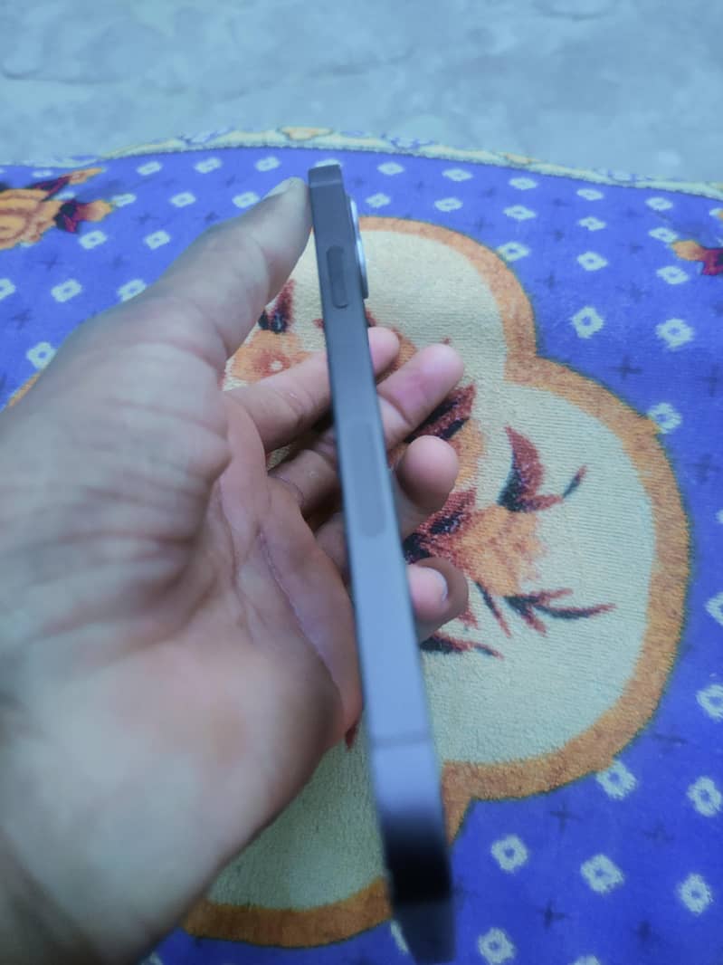Apple iPhone 12 1