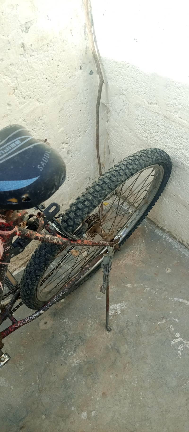 bicycle 3