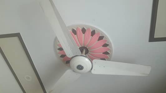 Pak Fan