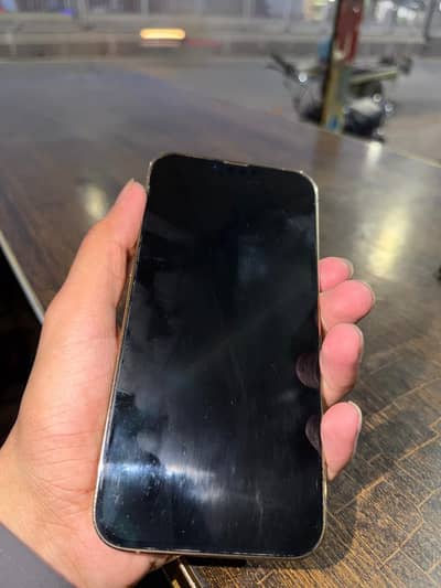 Apple iPhone 13 Pro Max