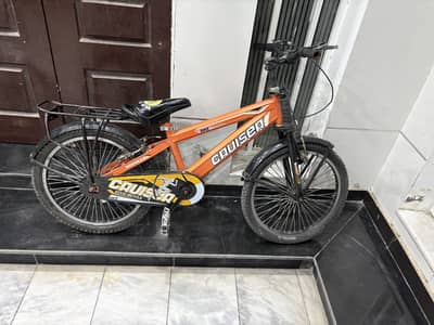 Cruise Cycle
