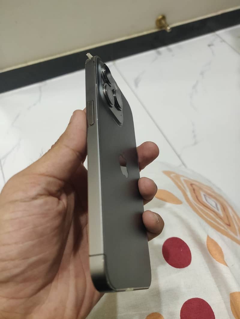Apple 2
