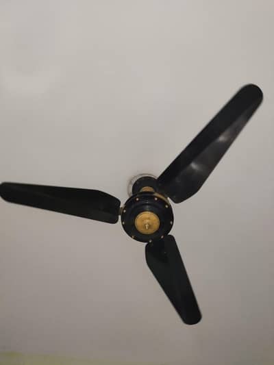 Modern design celling fan
