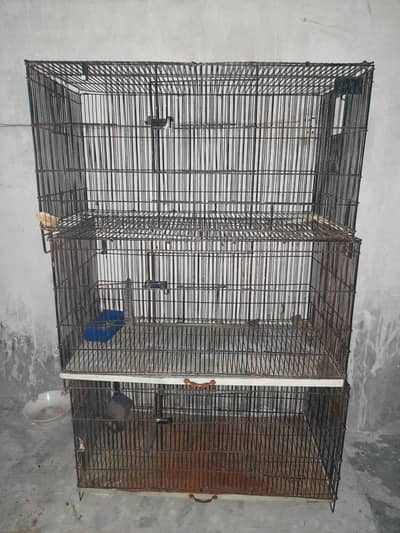 CAGES URGENT SALE